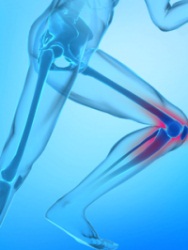 Joint Pain Formula